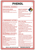 Brady B-120 Fiberglass Reinforced Polyester Rectangle White Chemical, Biohazard, Hazardous & Flammable Material Sign - 7 in Width x 10 in Height - TEXT: PHENOL - 48885 - 754476-48885 - R. S. Hughes Company, Inc.