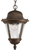 P5530-20 Exterior -Hanging - 696329 - Capital Lighting, Inc.