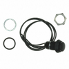 Pushbutton Switches - CKN10005-ND - DigiKey