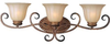 22253WSPD Bathroom Fixtures-Three Lights - 445601 - Capital Lighting, Inc.