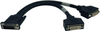 DMS-59 to Dual DVI Splitter Y Cable (M to 2x DVI-I F), 1-ft. -- P576-001 - Image