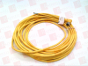 QD Cable/Cord Set - 12555831 - Radwell International