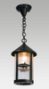 50096 Mini Pendants-Chain - 472359 - Capital Lighting, Inc.