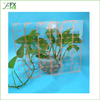 Transparent PCB