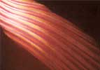 Amber - Red - Premier Lighting & Production Company