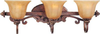 Bathroom Fixtures-Three Lights - 15913 - Light Center (The)