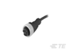 7/8 Connector Cable Assemblies - 5000006800-SE - TE Connectivity