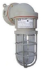 Vaporproof Incandescent Fixture with Globe and Guard -- NV2IG15BHG - Image