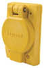 Locking Receptacle with Plate -- 67W76 - Image