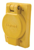 Locking Receptacle with Plate -- 65W34 - Image