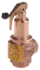 Pressure Relief Valves -- 3890597 - Image
