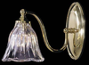 8171PB Sconces-Single Glass - 791294 - Capital Lighting, Inc.