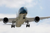 Boeing 787 Landing Gear