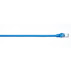 WireNet CAT5e Patch cord STP LSZH -- WireNet CAT5e Patch cord STP - Image