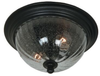 Exterior -Ceiling Mount - 601584 - Light Center (The)
