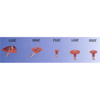 Specialized Tools - 2827-2000WP-ND - DigiKey