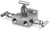 SS-V3NBF8-FL - Image