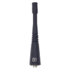 RF Antennas - 5328-FMAN51156-ND - DigiKey
