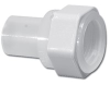 Female Adapter Butt 2 -- 6349005 - Image