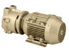 Single Stage Motor Mounted Liquid Ring Vacuum Pumps - DV0035B-M - DEKKER Vacuum Technologies