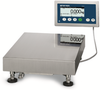 Bench Scale and Portable Scale -- Bench Scale ICS429g-BB60 - Image