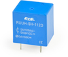 RUUH Series -- RUUH-*-1*DB - Image