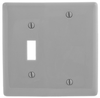 Standard Wall Plate -- NP113GY - Image