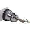 Configurable Switch Bodies - 4008-9001KS12K3-ND - DigiKey