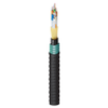 Indoor/Outdoor Riser Heavy Duty Loose Tube OM2 72 Fibers - FD2H0725G - Belden Inc.