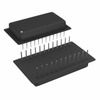 Digital to Analog Converters (DAC) - HDS-1250ATM-ND - DigiKey