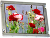 Display Modules - LCD, OLED, Graphic - 73-13889-ND - DigiKey