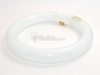 22 Watt, 8" Diameter Cool White T9 Circline Bulb -- 391169 - Image