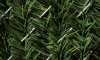 Fence Privacy -Fence Slats - HedgeLink - Pexco