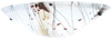 109134 Sconces-Pocket - 484331 - Capital Lighting, Inc.