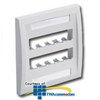 Panduit® Mini-Com Executive Series Faceplates - CFPE10-2G - TelephoneStuff.com