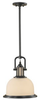 Pendant Light Fixture - P1146DBZ - Generation Brands
