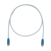 Modular/Ethernet Cables (RJ45, RJ11) - STPCH1MBBU-ND - DigiKey
