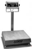 Doran Hi-Cap Stainless Steel All Purpose Scale - 150 LB X .05 LB,18