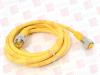 QD Cable/Cord Set - 3619975 - Radwell International