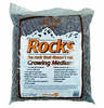 Sunleaves Rocks 0.5