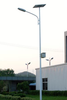 Solar Street Light (S-SL11S) -  - Greenshine New Energy Co., Ltd.