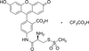 (R)-2-Amino-2-[(5-fluoresceinyl)aminocarbonyl]ethyl Methan.. -- A609615 - Image