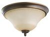 Flush Mounts-Bowl Style - 21155 - Light Center (The)
