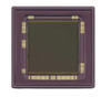 Image Sensors, Camera - NOIL1SC4000A-GDC - ODG (Origin Data Global)