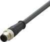 Connecting cable with plug -- E12436 - Image