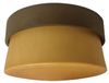 ARMF1F13RBECT Exterior -Ceiling Mount - 453022 - Capital Lighting, Inc.