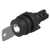 Keylock Switches - 1948-14-142.025K2-ND - DigiKey