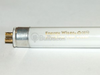13 Watt, 21 Inch T5 Cool White Fluorescent Bulb - B501113 - bulbs.com