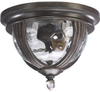 3221-10-45 Exterior -Ceiling Mount - 701168 - Capital Lighting, Inc.