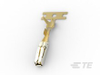 Automotive Terminals - 1563621-2 - TE Connectivity